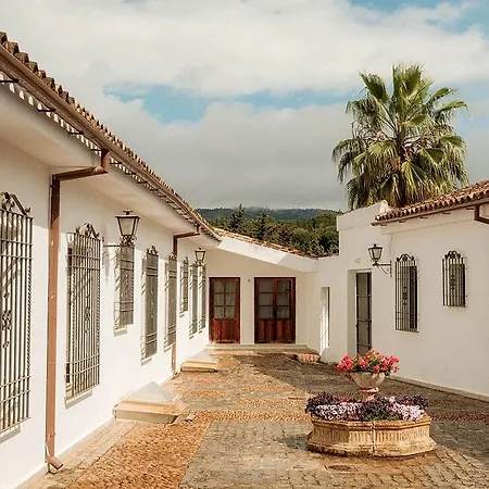 Abetos Del Maestre Escuela