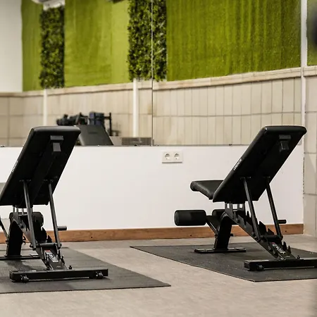 Abetos Del Maestre Escuela 4*