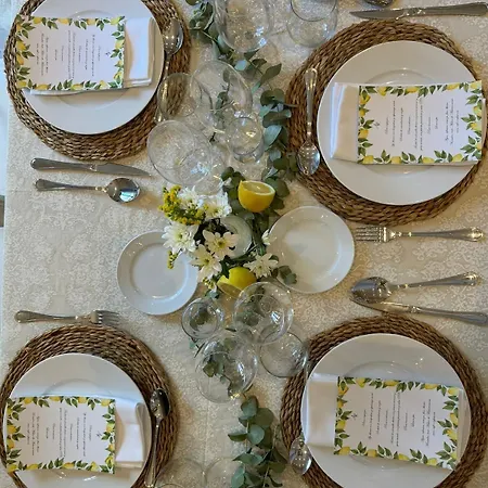 Abetos Del Maestre Escuela